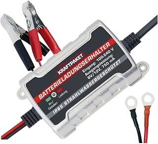 Dino KRAFTPAKET 750mAh-6V/12V Erhaltungsladegerät/Intelligentes und voll-automatisches Ladungser…